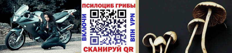 Галлюциногенные грибы мухоморы  Краснокамск 