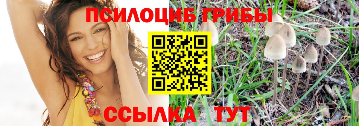 Псилоцибиновые грибы прущие грибы Краснокамск